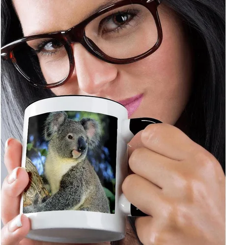 Miniatura 2 de 3dRose Oso de koala, Australia, árbol de eucalipto - SA01 KSC0000 - Kevin Schafer - Taza negra de dos tonos de 11 oz