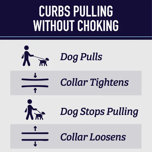 Miniatura 3 de Leash Boss Collar Martingale para perros – Cadena de acero Collar de nailon reflectante para perros grandes, medianos y pequeños Collar de Azul