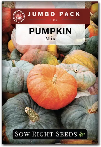 Sow Right Seeds - Semillas de calabaza mixtas a granel para plantar - 1 onza, 140 semillas - Paquete jumbo de reliquia sin OMG - Incluye azúcar