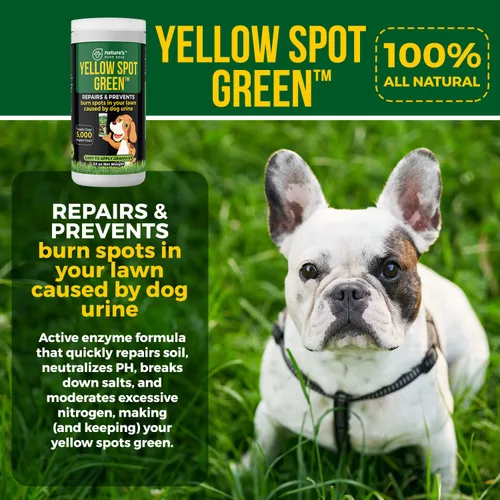 Miniatura 5 de Yellow Spot Green™ Cura quemaduras de orina y previene manchas amarillas en tu jardín. Neutralizador de orina de perro para céspedes. Repara