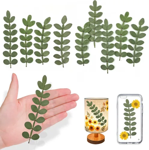 Hojas secas prensadas naturales para resina, 42 piezas de hojas espinosas secas reales para arte de resina, manualidades, tarjetas, álbumes de