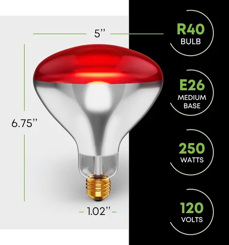 Miniatura 2 de Bombillas incandescentes de 250 W R40 (paquete de 2) - Lámpara de calor infrarroja para baño para pollos, pollitos, cachorros, reptiles, ganado