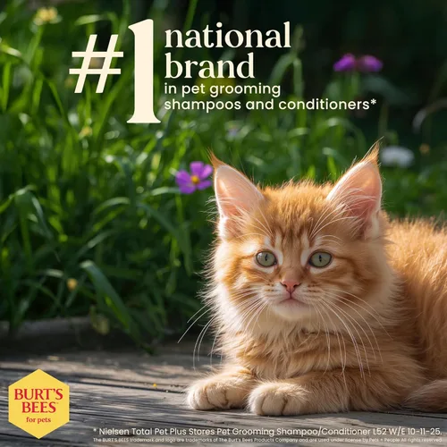 Miniatura 7 de Burt's Bees for Pets Champú para gatitos sin lágrimas con suero de mantequilla, fórmulas 99.3% de origen natural, champú para mascotas para gatos