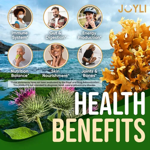Miniatura 3 de JOYLI Nutrition Paquete de 2 gomitas de musgo marino para adultos y niños, suplemento vegano de musgo marino irlandés con vejiga y raíz de bardana