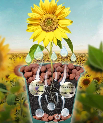 Miniatura 5 de Voulosimi - Guijarros de arcilla hidropónicos, rocas de ceramsite orgánicas, medio de cultivo para horticultura, orquídeas, drenaje (5.4 kg)