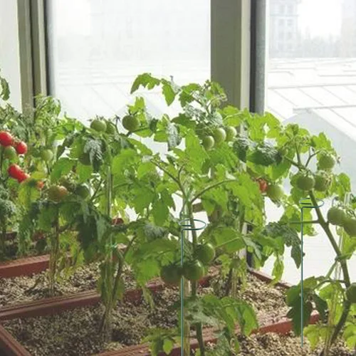 Miniatura 7 de Soporte de estaca para plantas, paquete de 6, anillos de soporte de jaula de plantas de un solo tallo para jardín, estacas de soporte para plantas