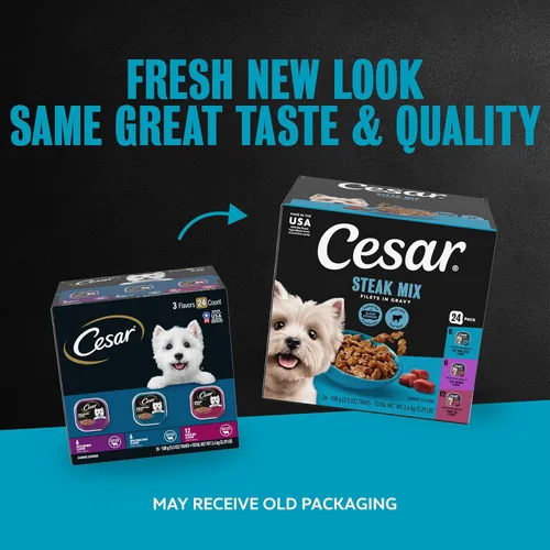 Miniatura 2 de Cesar - Comida húmeda para perros adultos de filetes en salsa con sabor a filete mignon, tira y costilla de primera de Nueva York, paquete variado
