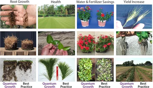 Miniatura 3 de Quantum Growth Organic Total Plant and Soil Probiótico 1 galón