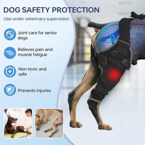 Miniatura 2 de Rodillera para perro para pierna trasera, ajustable, transpirable, con paquetes de gel caliente y frío, soporta perros grandes y medianos