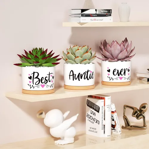 Miniatura 5 de MAYICIVO Regalos de Navidad para tía de parte de sobrina o sobrino, los mejores regalos para tía, los mejores regalos para la mejor tía del mundo