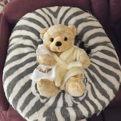 Miniatura 8 de Ganz Juego de regalo de amigdalectomía Get Well Soon Teddy Bear con amígdalas de despedida para niños, juego de regalo de libro para niños