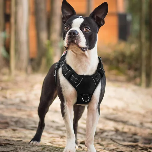 Miniatura 8 de rabbitgoo Arnés para perro de tamaño pequeño, chaleco para perro sin tirones con 3 hebillas, arnés ajustable y acolchado suave para mascotas con asa