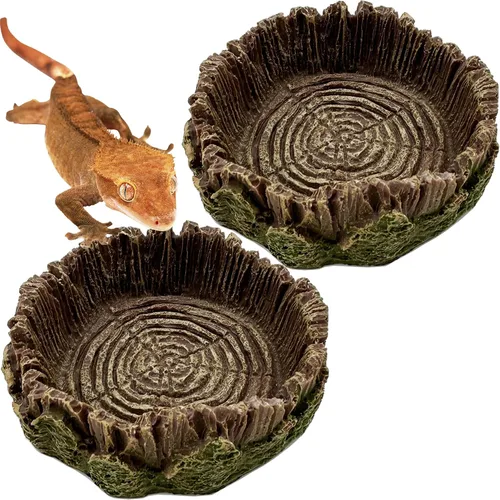 Miniatura 9 de Plato de agua para reptiles, cuencos de dragón barbudo, paquete de 2 cuencos de comida para reptiles para cangrejo ermitaño, dragón barbudo