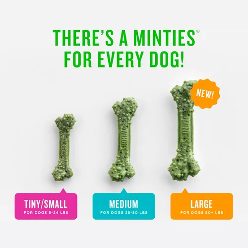 Miniatura 3 de Minties Golosinas dentales en hueso para perros, Golosinas dentales pequeñas para perros, 5-25 libras, Limpian dientes, Combaten el mal aliento