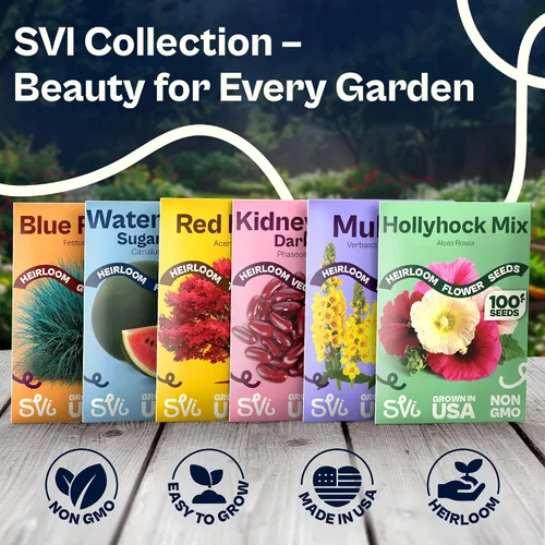Miniatura 7 de SVI 75 semillas de sandía Sugar Baby para plantar (Citrullus lanatus) - Sandía dulce, mini sandías tradicionales - Semillas de frutas para plantar