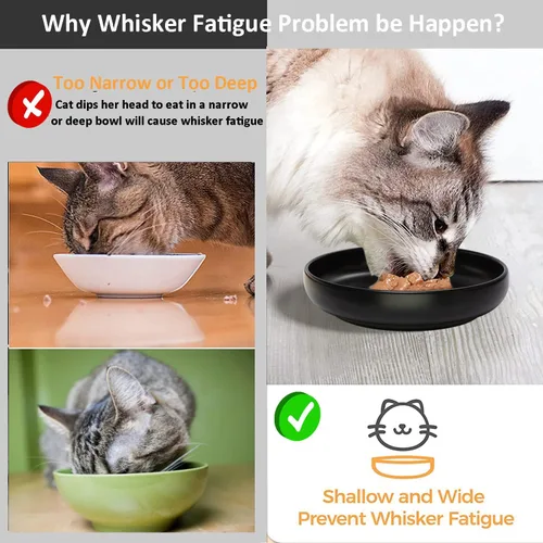 Miniatura 5 de Cuencos de cerámica para gatos - Platos poco profundos para comida y agua, tazón ancho de 6 pulgadas con acabado mate para comida de gatos, juego