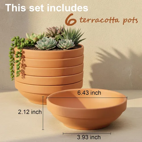 Miniatura 2 de Laergin - Macetas de terracota poco profundas de 6.43 pulgadas con orificio de drenaje, maceta de terracota con orificio de drenaje para plantas