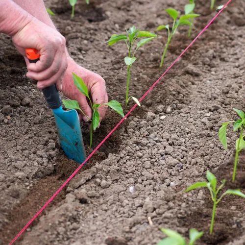 Miniatura 6 de HASWARE Mason Line - Cuerda de nailon trenzado para herramientas de jardinería o mampostería, nivel de línea de cuerda de construcción para jardín