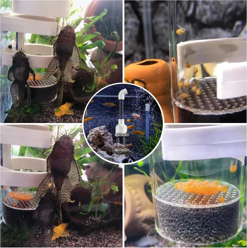 Miniatura 4 de Incubadora y vaso de huevos de pescado: criadero de cíclidos de acuario con bomba de aire incorporada - Caja de reproducción de aislamiento, red