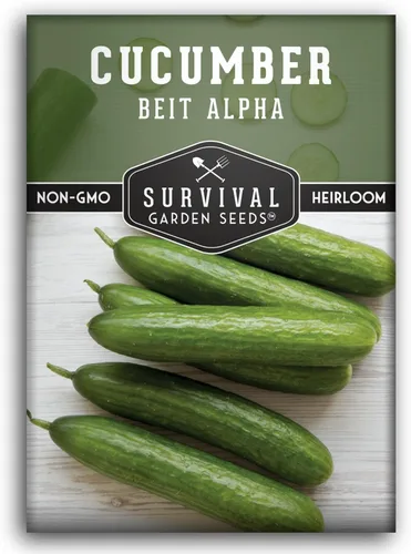 Beit Alpha - Semillas de pepino para plantar, variedad crujiente sin eructos con piel suave, reliquia, sin OMG, semillas de jardín de supervivencia