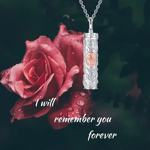Miniatura 32 de Collar con colgante de urna de cenizas de cremación y árbol de la vida para mujer, plata de ley US1