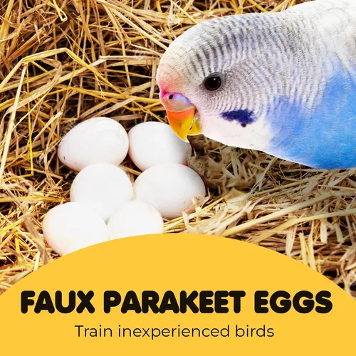 Miniatura 3 de SunGrow Huevos de madera falsos para entrenar a los pájaros de que no se pongan en las cajas de anidación y para dejar de comer sus propios huevos