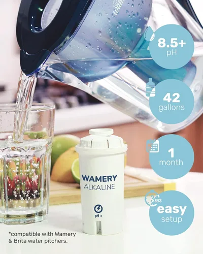 Miniatura 3 de Wamery Filtro de agua alcalino de repuesto para jarra – Filtro único, mejora el pH y el sabor, capacidad de 42 galones, carbón activado de coco