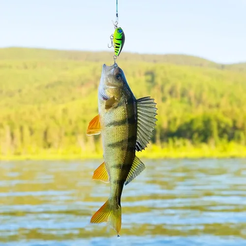 Miniatura 9 de Juego de 10 cebos para pesca de lubina, cebos duros flotantes, pesca de agua superior, para trucha, lubina, perca, salmón, agua dulce y salada, 1.9