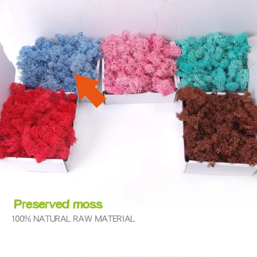 Miniatura 2 de ACADOIT Musgo preservado, musgo de 3.5 onzas para manualidades, decoración de musgo sintético, musgo verde natural para decoración de pared de Azul
