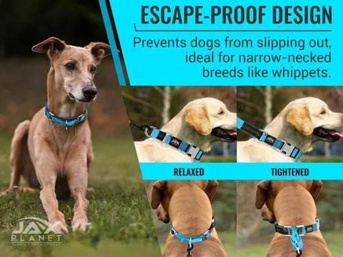 Miniatura 5 de Collar Martingale para perros, collar de entrenamiento para perros sin tirones y antideslizante, nailon resistente para caminar activamente, hebilla