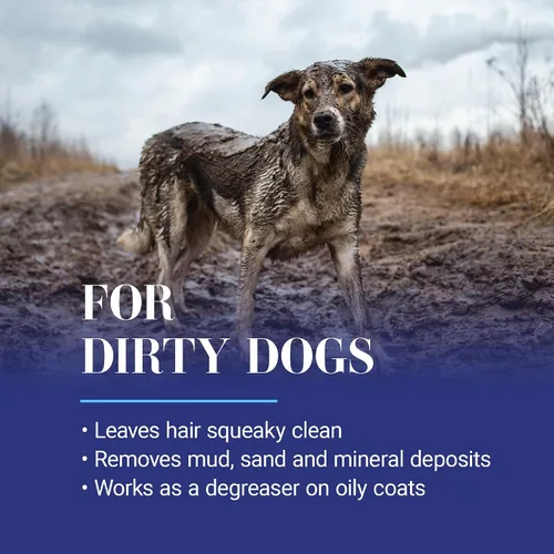 Miniatura 4 de Chris Christensen Clean Start Champú para Perros, Asequia como un Profesional, Fórmula Profunda de Limpieza con Pro-Vitaminas, Preserva los Aceites