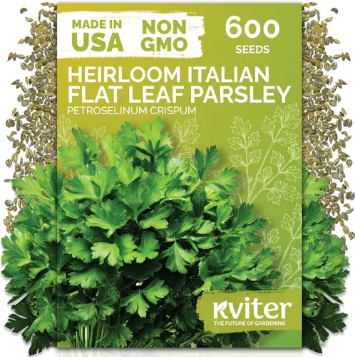 Miniatura 16 de KVITER 1000 semillas de quinua de cordero (Chenopodium Album) - Hierbas comestibles autóctonas, ideales para jardines de hierbas orgánicas