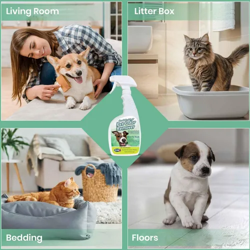 Miniatura 5 de ZORBX Smell Nothing Eliminador de olores para mascotas para olores fuertes, solución perfecta para mantener a tu cachorro con olor fresco y limpio