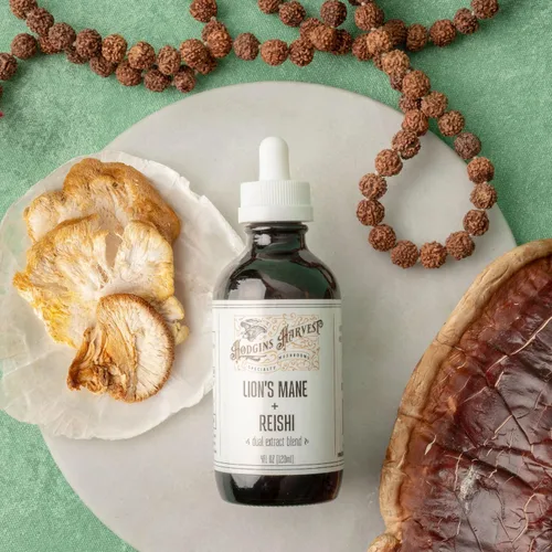 Miniatura 3 de Hodgins Harvest Melena de león orgánica + tintura de reishi Fabricado con hongos cultivados en nuestra granja en los Estados Unidos Extracto