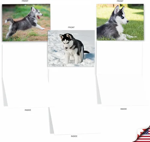 Miniatura 2 de The Best Card Company - 10 adorables tarjetas de perro en blanco (4 x 5.12 pulgadas) - Razas de mascotas surtidas, juego en caja - Adorables perros