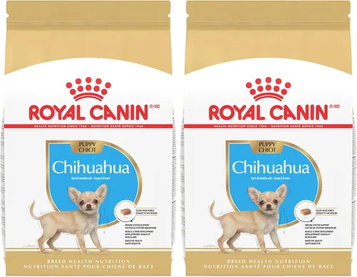Miniatura 10 de Royal Canin Chihuahua Adulto 8+ Alimento deshidratado específico para raza para perros mayores, bolsa de 1.13 kg