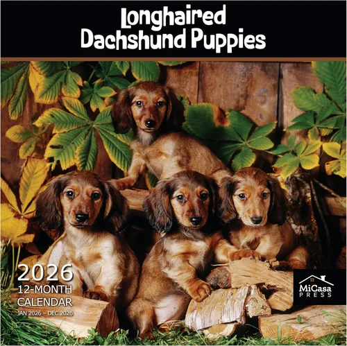 Miniatura 62 de MICASA PRESS Beagles - Calendario de pared 2026 de 12 meses 12 x 24 pulgadas abierto Papel grueso y resistente Regalo Lindo calendario