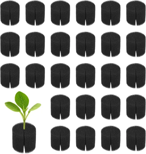 Miniatura 16 de M METERXITY Paquete de 50 esponjas hidropónicas, esponjas cilíndricas de medio de cultivo de 1.97 pulgadas para plantar herramientas de Blanco