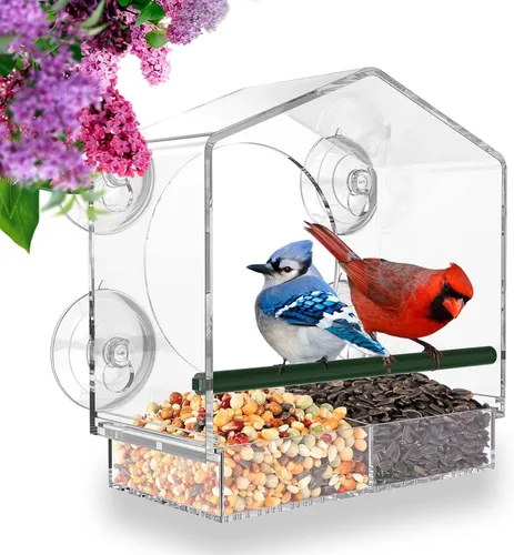 Mrcrafts Comedero para pájaros de ventana para exteriores con ventosas fuertes, se adapta a cardenales, pinzones, carboneros, etc.