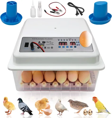 Incubadoras para incubar huevos, incubadora de huevos con giro automático de huevos y control de humedad, incubadora de huevos para huevos de