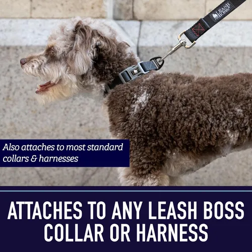 Miniatura 7 de Leash Boss Correa para perro de 10 pies con mango acolchado, correa larga para senderismo, campamento, explorar o caminar (10 pies, negro/rojo/gris)