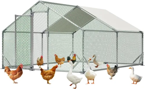 Gallinero de metal de 13 x 10 x 6.56 pies, jaula grande para aves de corral para 10 a 20 pollos, gallinas y conejos, casa de pato con cubierta