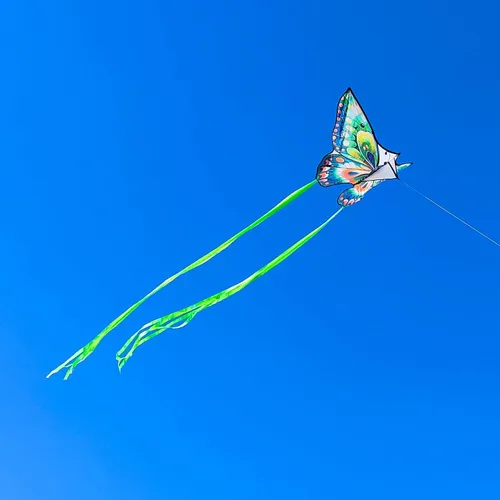 Miniatura 7 de Mint's Colorful Life Butterfly Kite for Kids & Adults, 55" x 28" Large Kite for Boys & Girls, Easy to Fly Kites for Beginners, Beach Single Line
