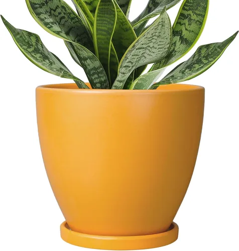 Maceta para Plantas de 6.8 Pulgadas - Maceta de Cerámica con Orificio de Drenaje y Platillo, Maceta Redonda Moderna para Flores, Macetas para