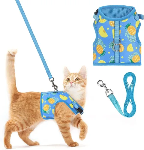 Miniatura 27 de PUPTECK Juego de arnés y correa de malla suave para gatos, arnés acolchado para mascotas, a prueba de escape, para gatos, perros pequeños, conejos