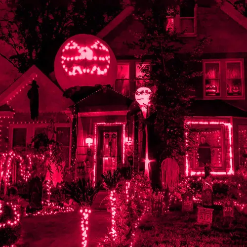 Miniatura 6 de HISHINY Red de luces LED rojas de Navidad para exteriores, cable verde de 100 luces LED de 5 x 5 pies, cable verde conectable para interiores y Rojo