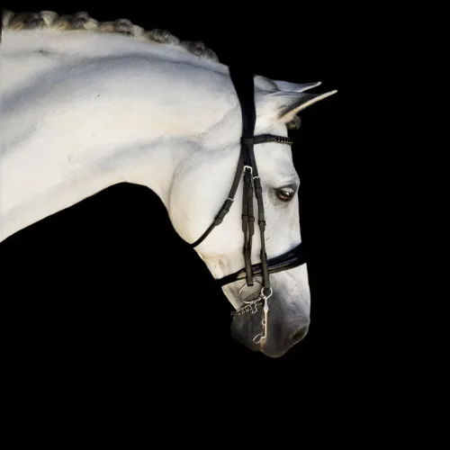 Miniatura 2 de Audrey' Brida de Cuero de Lujo - (Doble) Black Warmblood