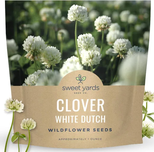 Miniatura 9 de Trébol holandés blanco, bolsa a granel de 1/4 libra, 150,000 semillas de flores para plantar - Trifolium repens