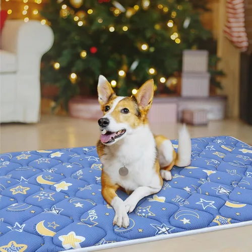 Miniatura 5 de Bubble bear - Tapete para jaula de perro ultra suave, lavable y antideslizante para perros pequeños, medianos y grandes, de color oscuro