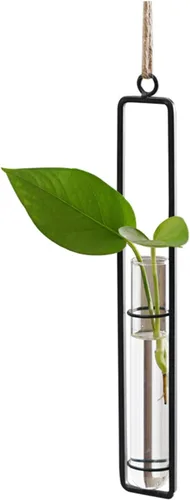 Miniatura 6 de Maceta hidropónica de vidrio colgante, 3 piezas, tubo de ensayo transparente, florero, contenedor de terrario para interiores y exteriores